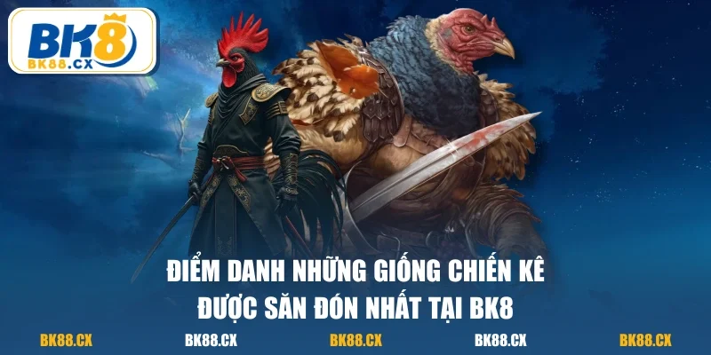 Điểm danh những giống chiến kê được săn đón nhất tại BK8