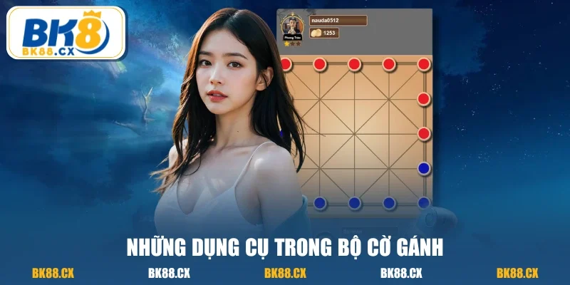 Những dụng cụ trong bộ cờ gánh