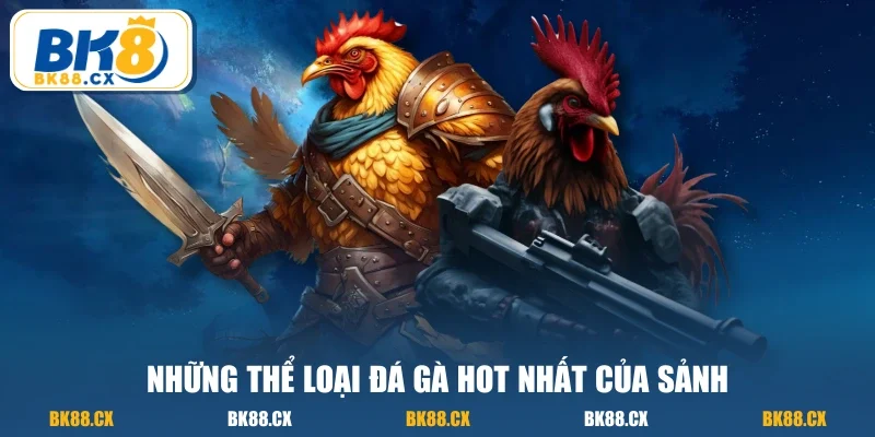 Những thể loại đá gà HOT nhất của sảnh