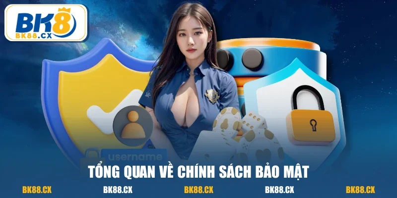 Tổng quan về chính sách bảo mật